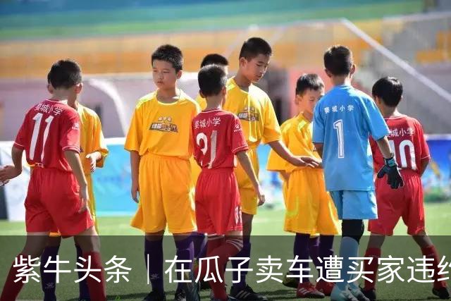 紫牛头条｜在瓜子卖车遭买家违约，车白跑两千公里另行售卖亏了9000元，车主不满平台处理结果